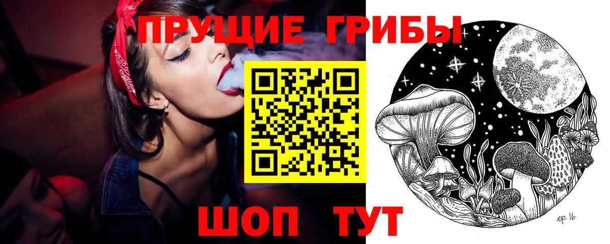 Псилоцибиновые грибы мицелий  Псилоцибиновые грибы Cubensis  Шебекино  Вход с VPN 