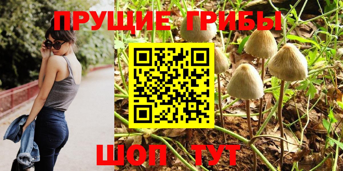 Галлюциногенные грибы Cubensis Шебекино